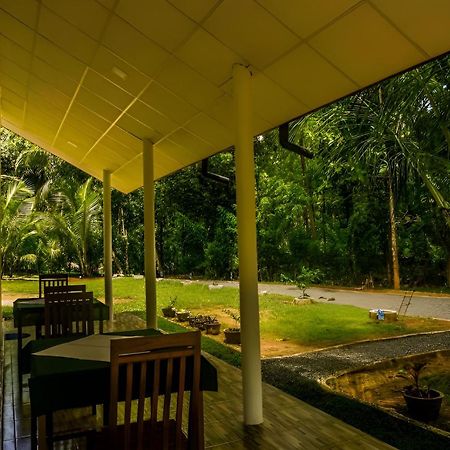Little Ele Safari Lodge Udawalawe Luaran gambar