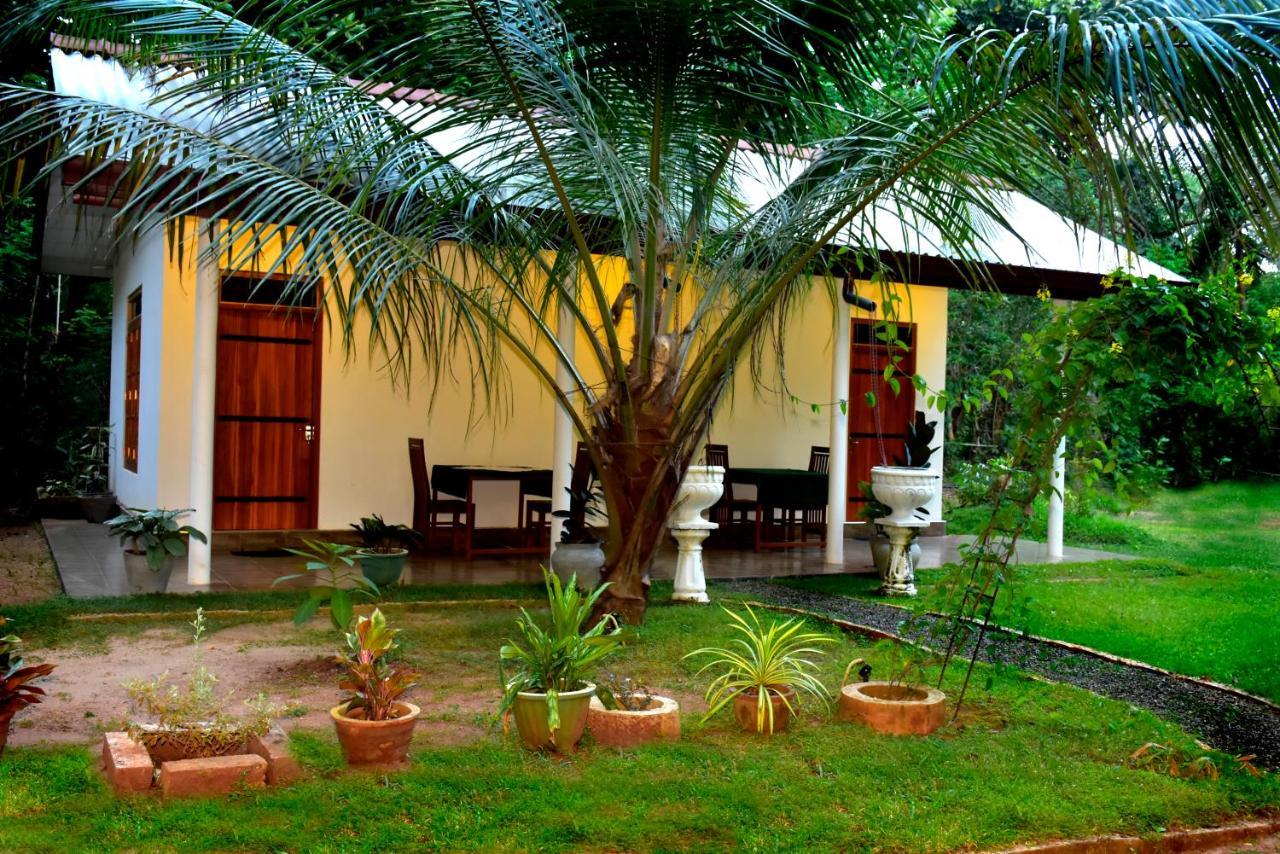 Little Ele Safari Lodge Udawalawe Luaran gambar