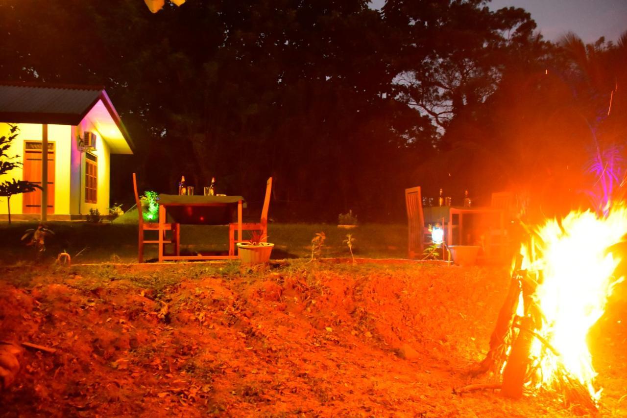 Little Ele Safari Lodge Udawalawe Luaran gambar